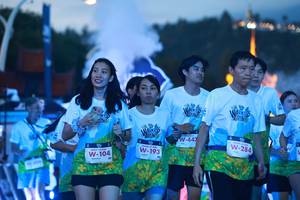 BIB: 104, 193, 447, 284
                            <button type="button" onclick="openModal(22341625)" class="btn btn-primary btn-sm float-right btn-popup" data-toggle="modal" data-target=".modal-high-quality">
                        <i class="fas fa-shopping-cart"></i> Add to Cart
                    </button>
                                            <button type="button" onclick="isThisMe(22341625, true)" class="btn btn-success btn-sm float-right btn-popup btn-isme hidden" data-toggle="tooltip" data-placement="bottom" title="นี่คือรูปของคุณใช่ไหม คลิกที่นี่เพื่อเอาเข้าอัลบั้ม">
                        <i class="fas fa-plus"></i> Add to album
                    </button>
                    <button type="button" onclick="isThisMe(22341625, false)" class="btn btn-warning btn-sm float-right btn-popup btn-isnotme hidden">
                        <i class="fas fa-ban"></i> Remove from album
                    </button>